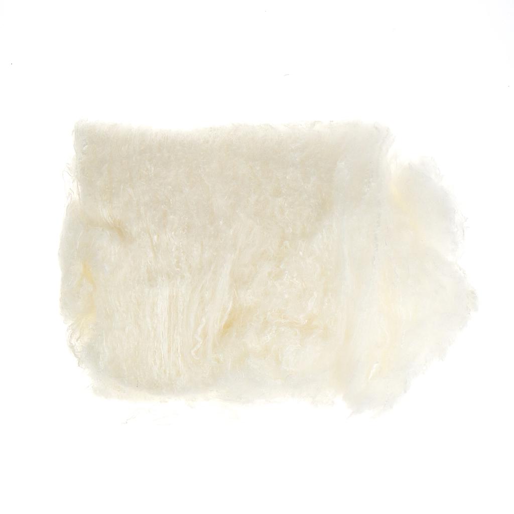 Zijdevlies (Silk Labs)